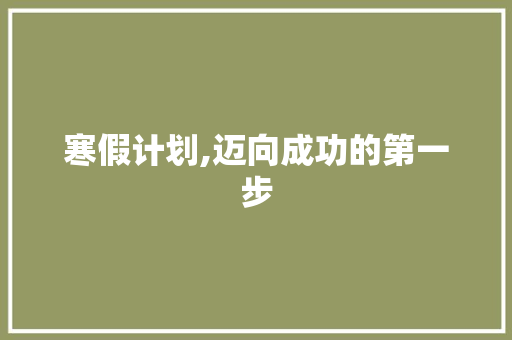 寒假计划,迈向成功的第一步