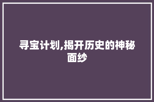 寻宝计划,揭开历史的神秘面纱