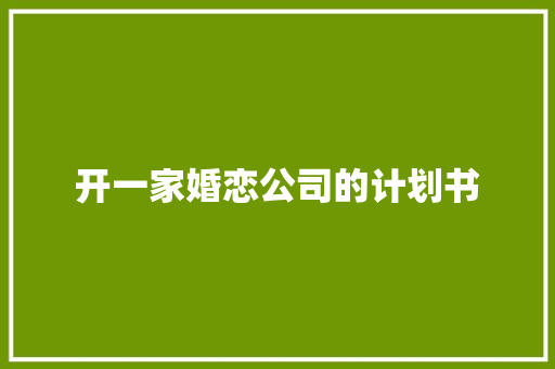 开一家婚恋公司的计划书