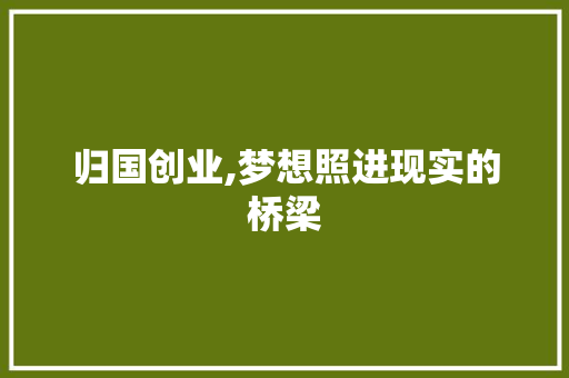 归国创业,梦想照进现实的桥梁