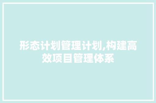 形态计划管理计划,构建高效项目管理体系