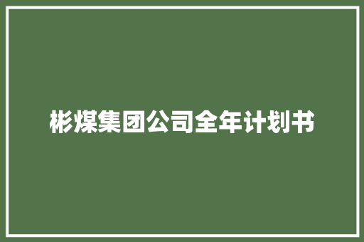 彬煤集团公司全年计划书