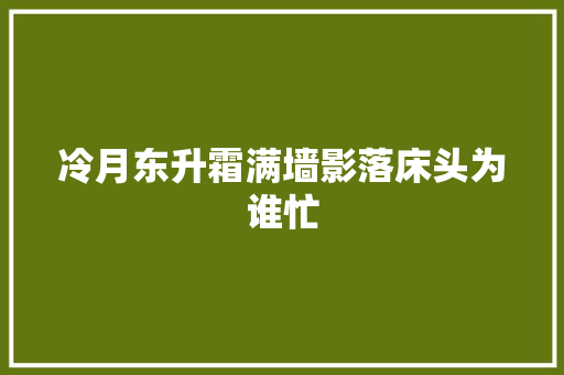 冷月东升霜满墙影落床头为谁忙