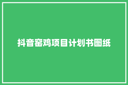 抖音窑鸡项目计划书图纸