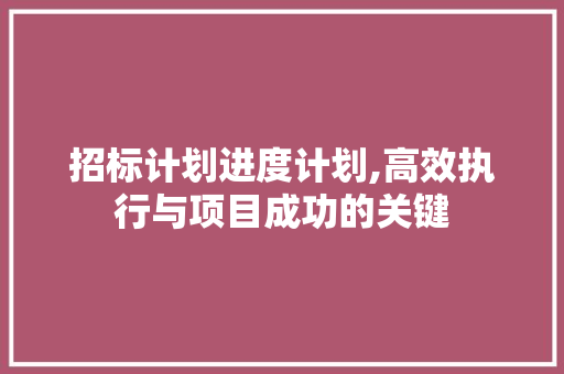 招标计划进度计划,高效执行与项目成功的关键