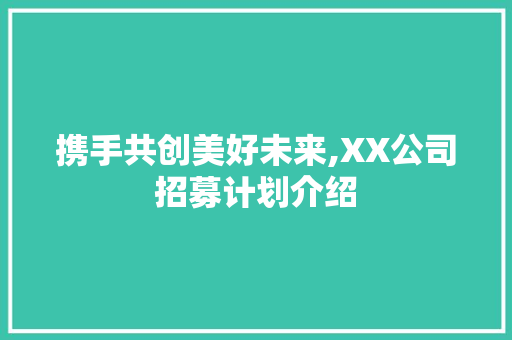 携手共创美好未来,XX公司招募计划介绍