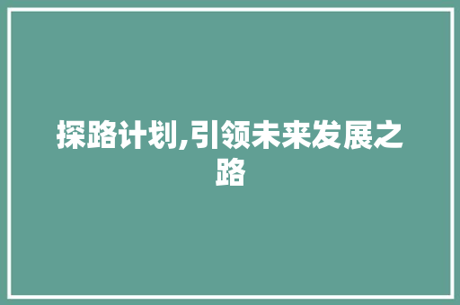 探路计划,引领未来发展之路