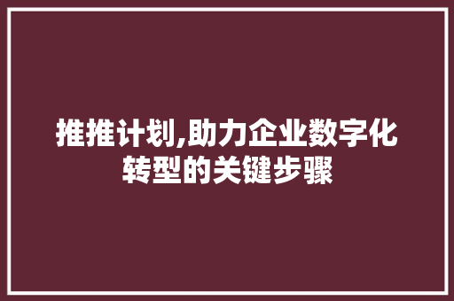 推推计划,助力企业数字化转型的关键步骤