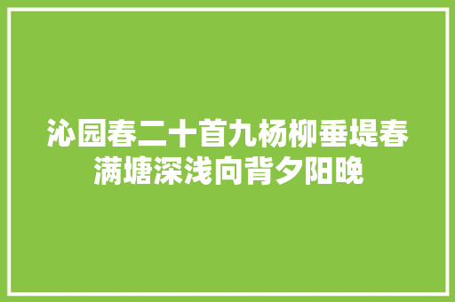 沁园春二十首九杨柳垂堤春满塘深浅向背夕阳晚