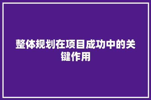 整体规划在项目成功中的关键作用
