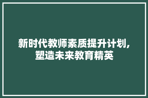 新时代教师素质提升计划,塑造未来教育精英