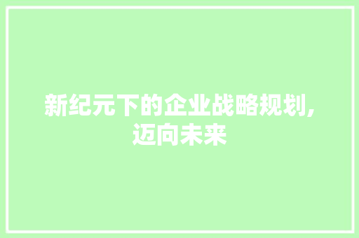 新纪元下的企业战略规划,迈向未来，共创辉煌