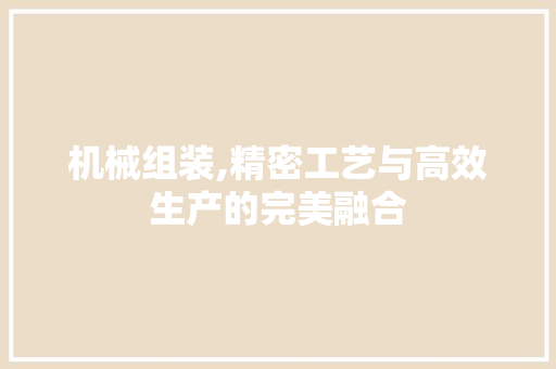机械组装,精密工艺与高效生产的完美融合