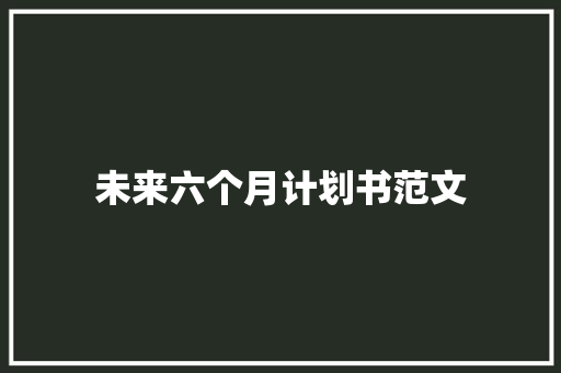 未来六个月计划书范文