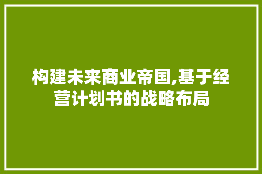 构建未来商业帝国,基于经营计划书的战略布局