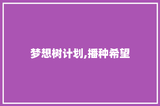 梦想树计划,播种希望，浇灌未来