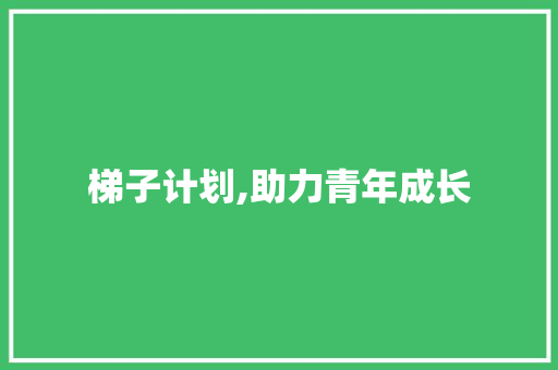 梯子计划,助力青年成长，构建人才强国新篇章