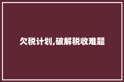 欠税计划,破解税收难题，助力经济高质量发展