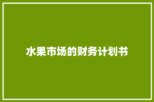水果市场的财务计划书