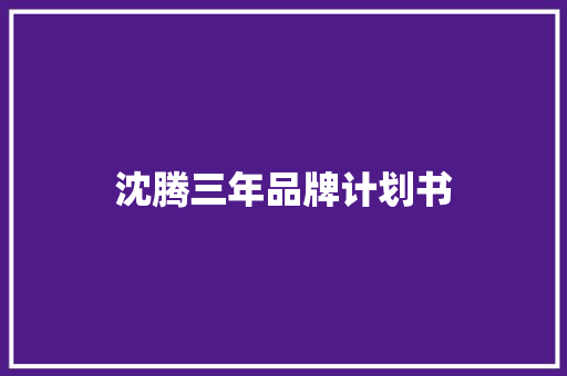 沈腾三年品牌计划书