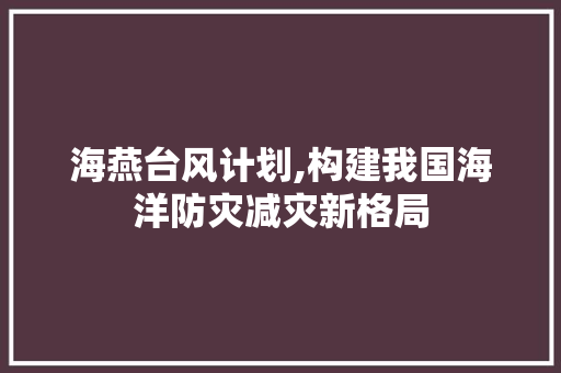 海燕台风计划,构建我国海洋防灾减灾新格局