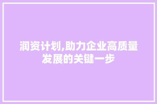 润资计划,助力企业高质量发展的关键一步