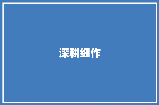 深耕细作，共筑未来_XX部门事业计划详细解读