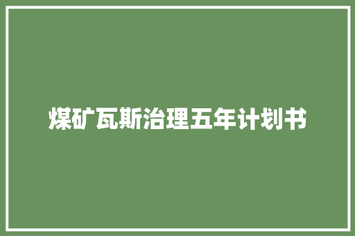 煤矿瓦斯治理五年计划书