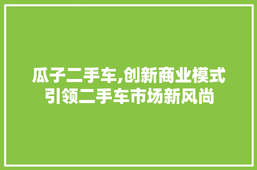 瓜子二手车,创新商业模式引领二手车市场新风尚