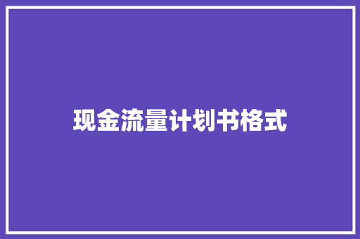 现金流量计划书格式