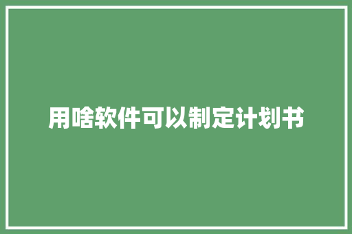 用啥软件可以制定计划书