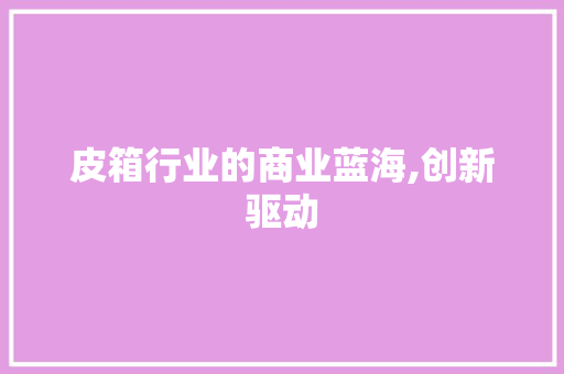皮箱行业的商业蓝海,创新驱动，匠心独运