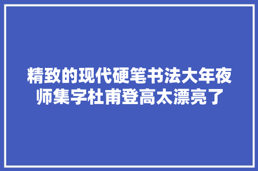 精致的现代硬笔书法大年夜师集字杜甫登高太漂亮了