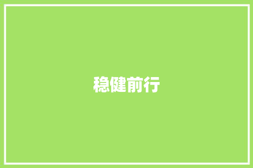稳健前行，共筑未来_详细介绍企业偿债计划