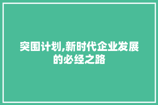 突围计划,新时代企业发展的必经之路