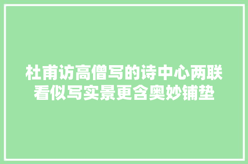 杜甫访高僧写的诗中心两联看似写实景更含奥妙铺垫