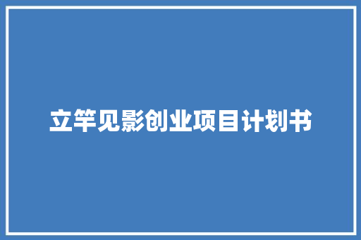 立竿见影创业项目计划书
