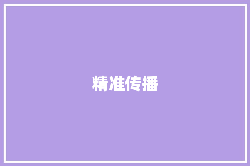 精准传播，助力企业品牌腾飞_全方位打造高效宣传计划