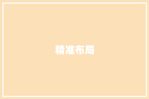 精准布局，高效执行,我的到职计划
