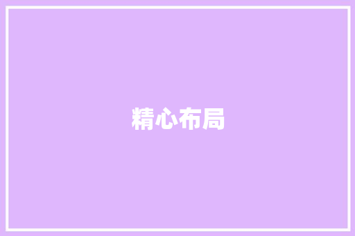 精心布局，实现售房计划的辉煌_基于售房计划书模板的方法探索