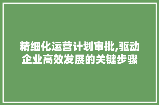精细化运营计划审批,驱动企业高效发展的关键步骤