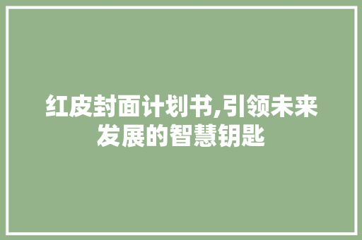 红皮封面计划书,引领未来发展的智慧钥匙