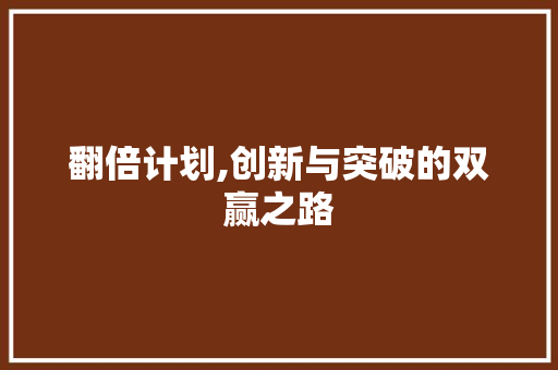 翻倍计划,创新与突破的双赢之路