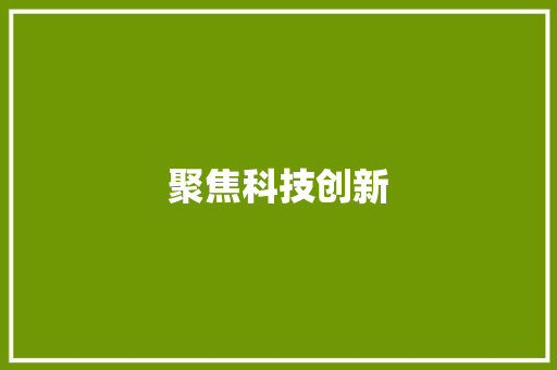 聚焦科技创新，助力区域高质量发展_XX项目申报书与计划解读