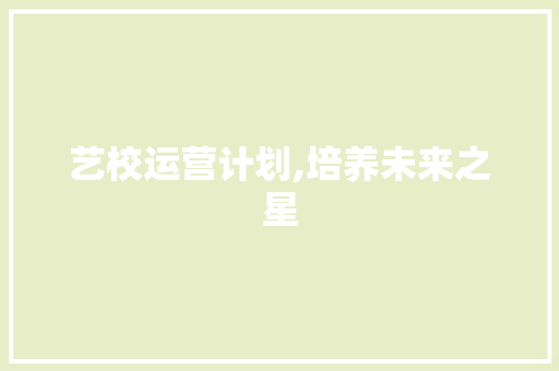 艺校运营计划,培养未来之星，成就艺术梦想