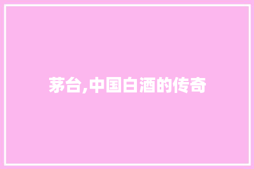 茅台,中国白酒的传奇，品质生活的象征
