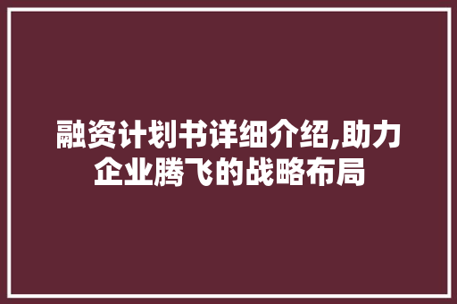融资计划书详细介绍,助力企业腾飞的战略布局