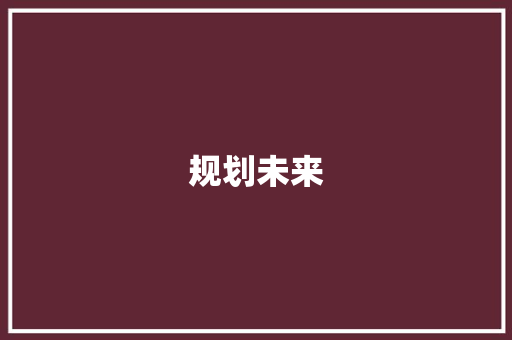 规划未来，共筑梦想_某项目计划书落款