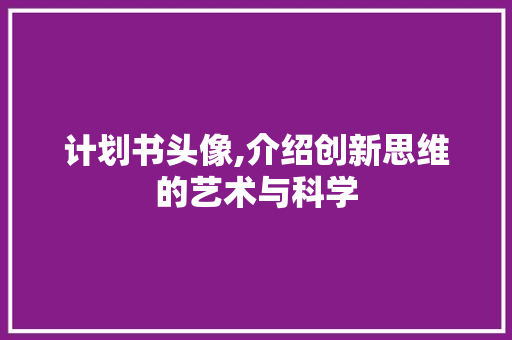 计划书头像,介绍创新思维的艺术与科学