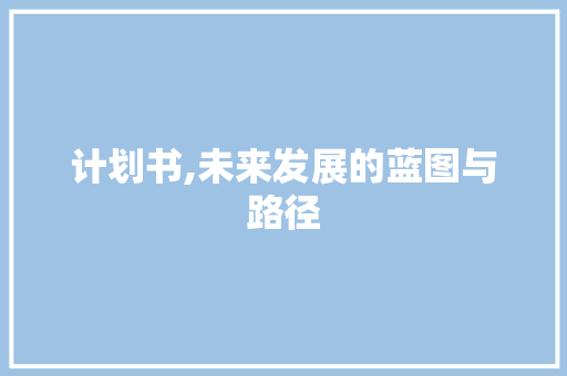 计划书,未来发展的蓝图与路径